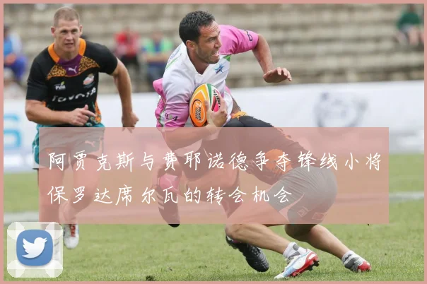 阿贾克斯与费耶诺德争夺锋线小将保罗达席尔瓦的转会机会
